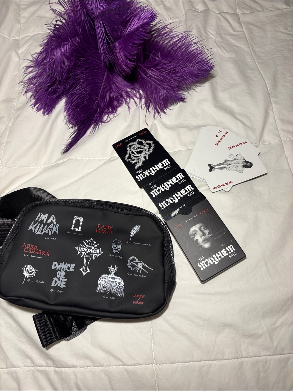 Lady Gaga Mayhem Ball VIP Bundle